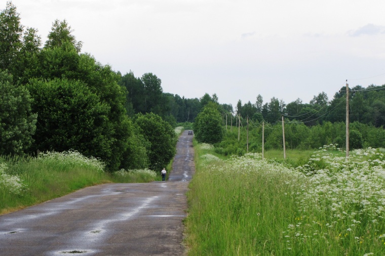 Земельный участок в деревне Внуково 