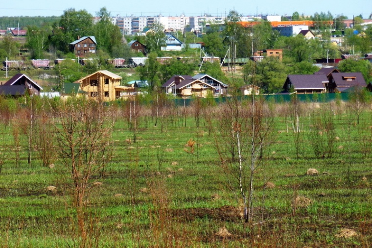 Проститутка Чеховский Район Д Крюково