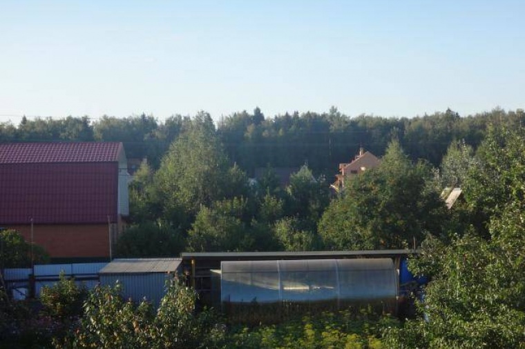 Земельный участок в деревне Андреевке 