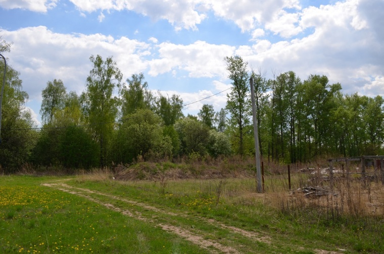 Земельный участок в деревне Березнецово 