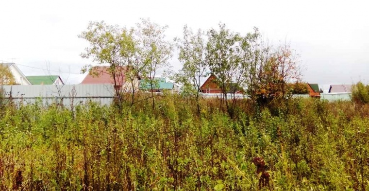 Земельный участок в деревне Игнатьево 