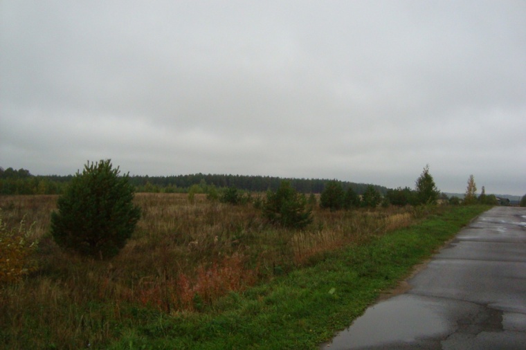 Земельный участок в деревне Шишово 