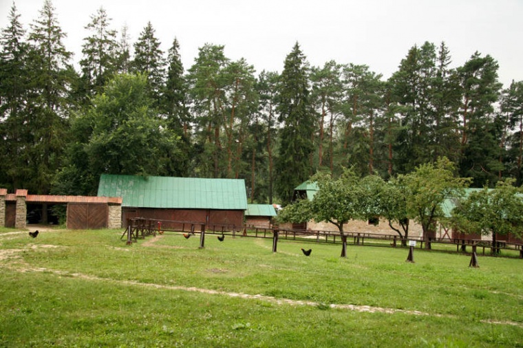 Земельный участок в деревне Никулино 