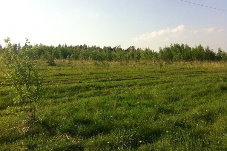 Земельный участок в деревне Лопотово 
