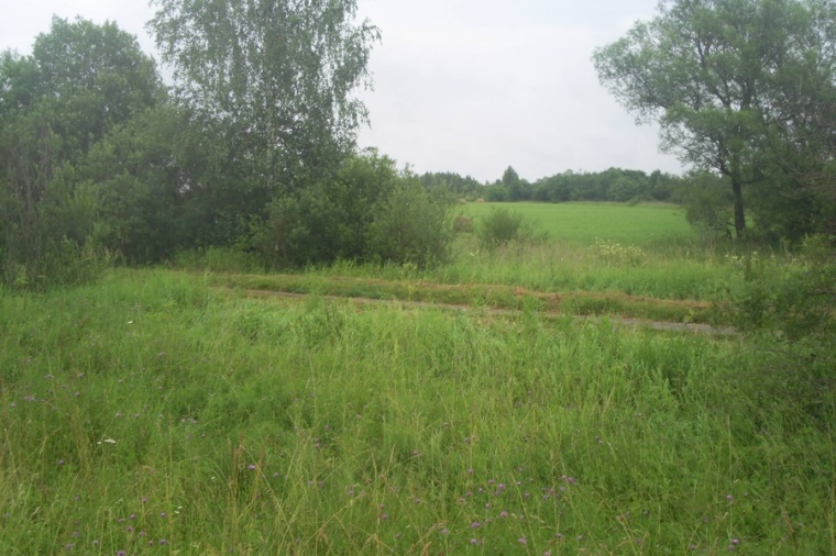 Земельный участок в деревне Елдино 