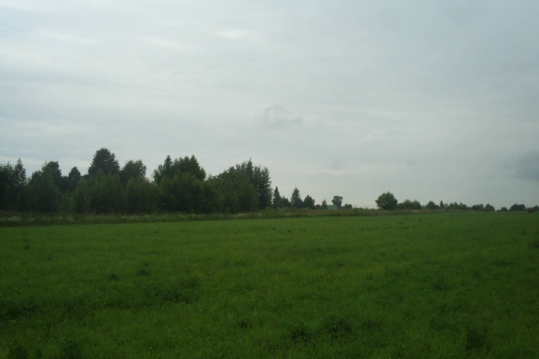 Земельный участок в деревне Елдино 