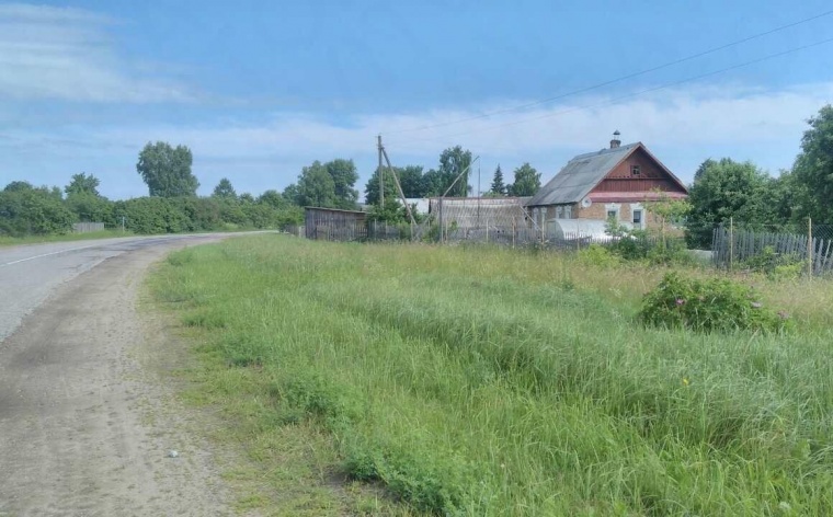 Подберезье псковская область локнянский район фото