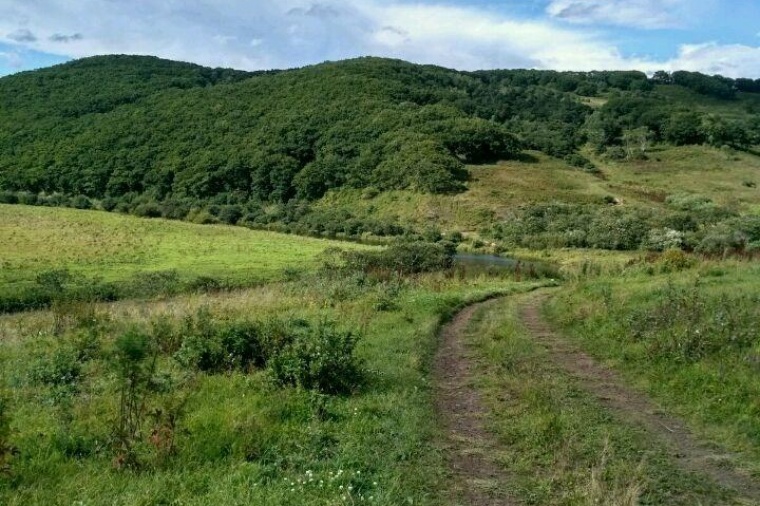 Участок приморском крае. Отрадное Приморский край. Поселок Кутузовка Приморский край. Деревня Терней. Участки Приморский край.