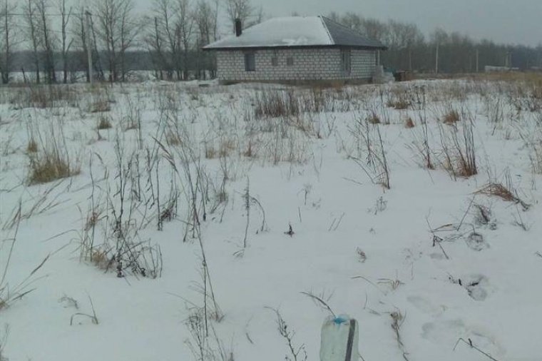 Погода в новой деревне