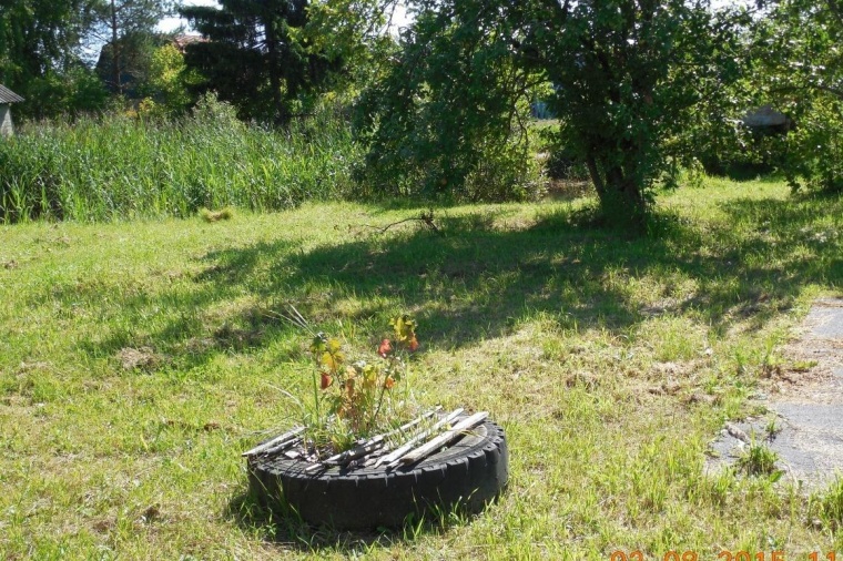 Купить Дача В Новгород В Панковке