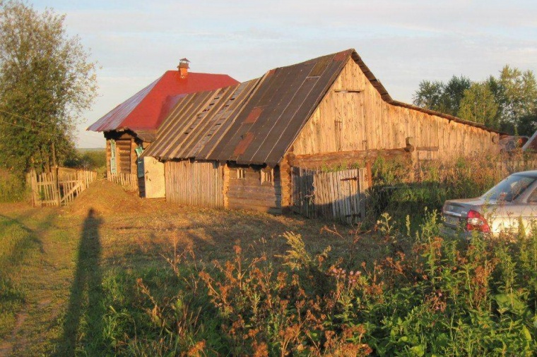 Домики в осе