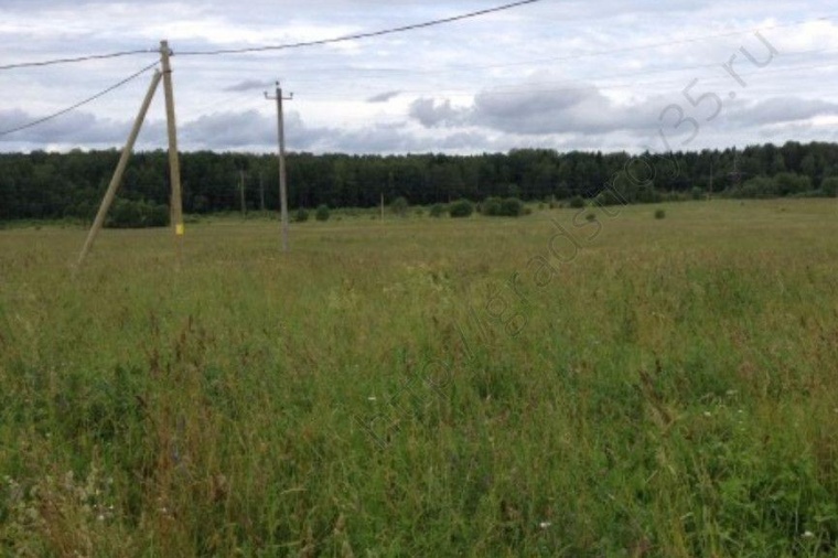 Погода в волково. Село Волково Белгородская область Чернянский район. Волково Чернянский район. Деревня Волково Белгородской области. Волково Вологодская область.