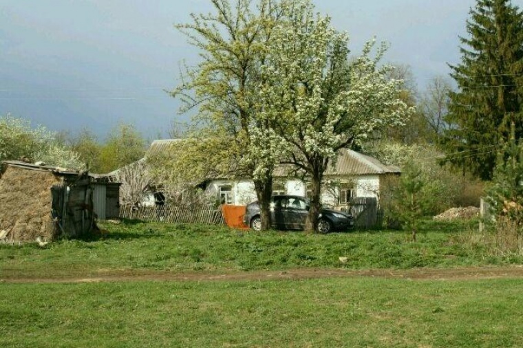 Село сторожи. Деревня Кочергинка Тульской области. Кочергинка Ефремовский район. Кочергинка Ефремовский район красивая меча.