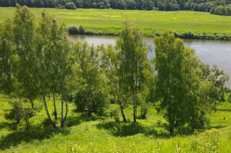 Рыляки Калужская область. Деревня Рыляки. Рыляки Юхновский район. Рыляки Юхновский район фото.