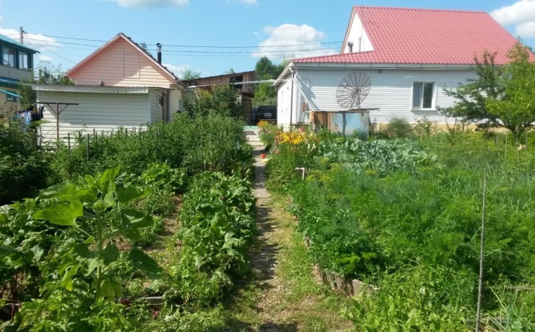 Купить Дачу В Благовещенске Амурской Свежие Объявления