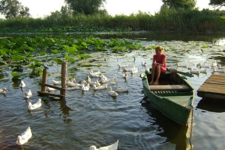 Зюзино астраханская. Село оранжереи Астраханская область Икрянинский район. Астраханская область, Икрянинский р-н, с. оранжереи. Астрахань село оранжереи Икрянинского района. Икряное Астраханская область.