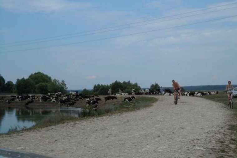 Село Новоберезово Рязанской Области Сасовского Района Фото