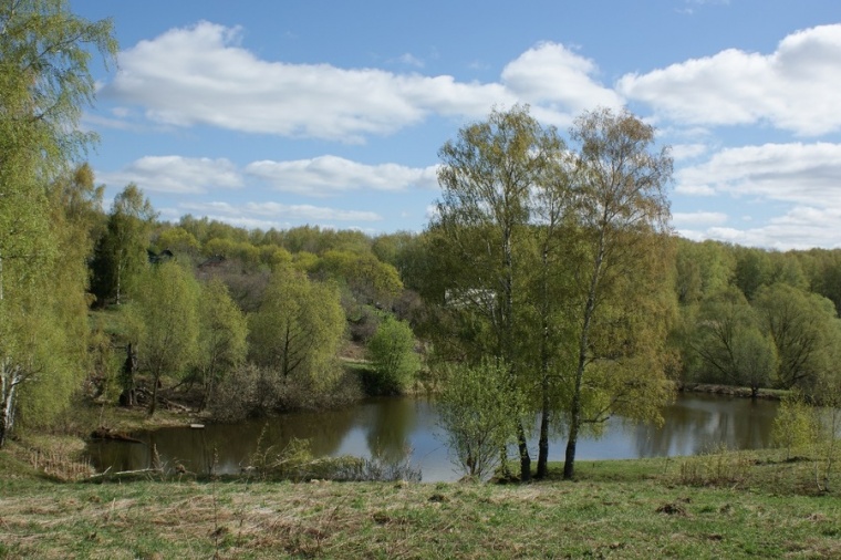 Швариха богородский район карта