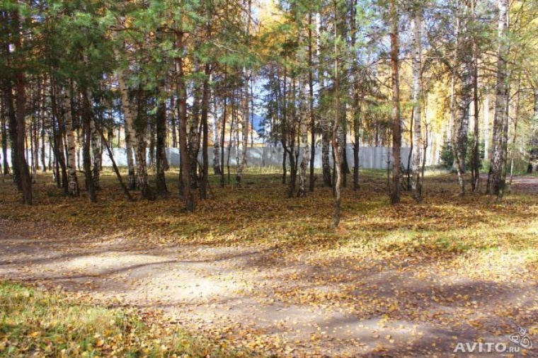 Татарстан васильево фото