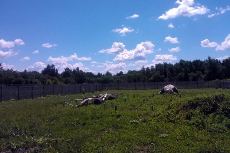 Можайская область тропарево