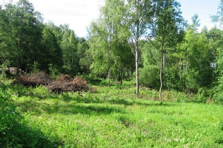 Сергеевка Солнечногорский Район Купить