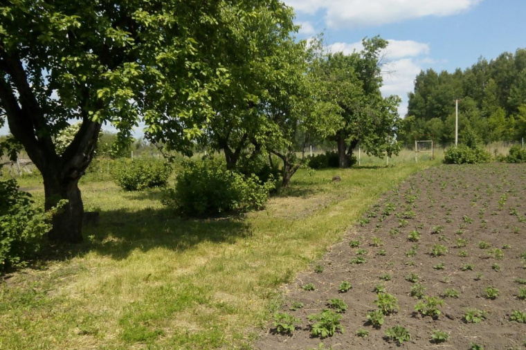 Купить Дом В Буховом Липецкой Области