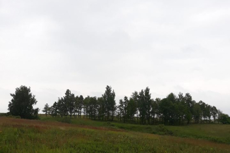 Земельный участок в Заокском районе