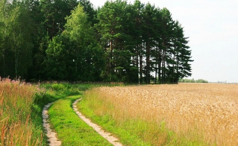 Петровское Клинский район