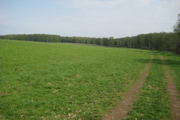 Фото земельного участка без строений