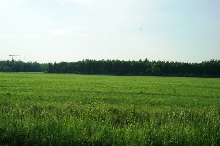 Участок тверской обл. 7 Га участок. Фото земельного участка в поселке городского типа. 7 Га.