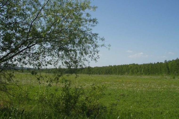 Участки в раменском районе. Красивые места по Новорязанскому шоссе. Участки по Новорязанскому шоссе. Лес Никоновское. Фото земельного участка 80 сот.