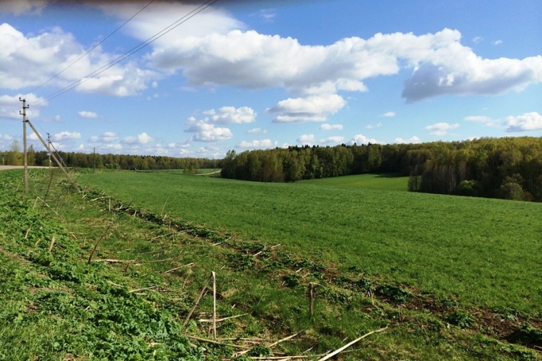 Земля софрино. Московская область д Балабанова.