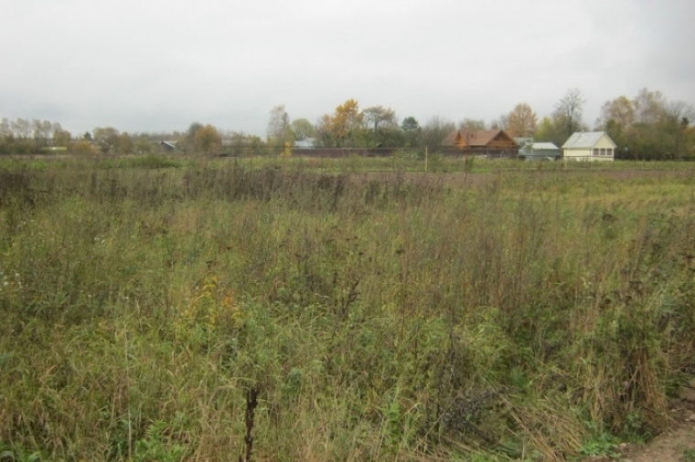 Земельный участок в селе Борисове