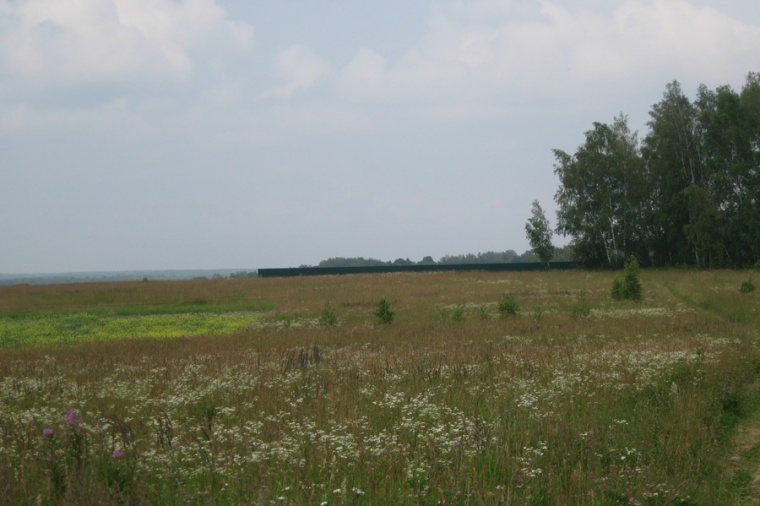 Земельный участок в деревне Шарапове 
