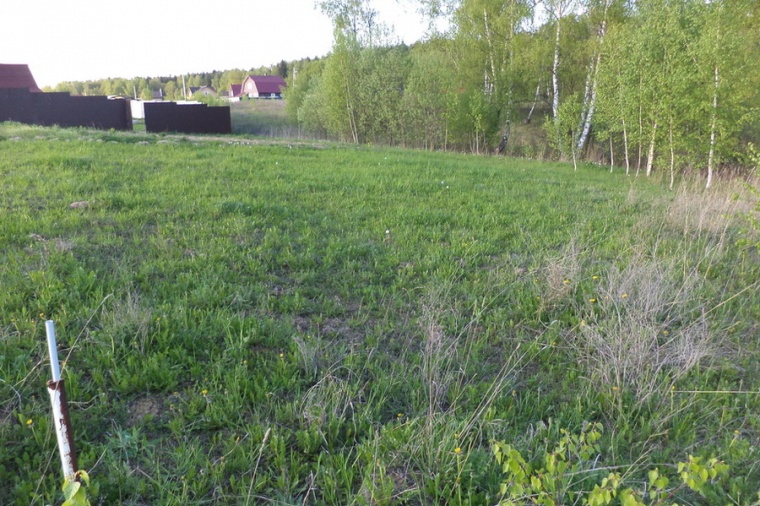 П рядом. Поселок Миз Можайский район. Можайский район Московской области пос. Миз. Заброшенные дома рядом с ДНП Можайского моря.. Миз Можайский район фото летом.