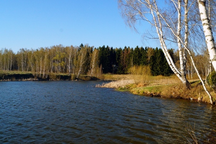 Купить Участок У Воды Каширское Шоссе