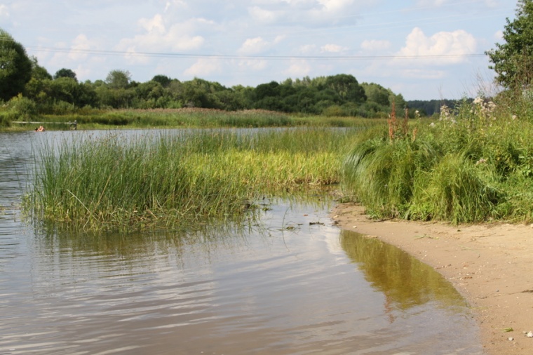 Купить Участок В Талдомском Село Новоникольское