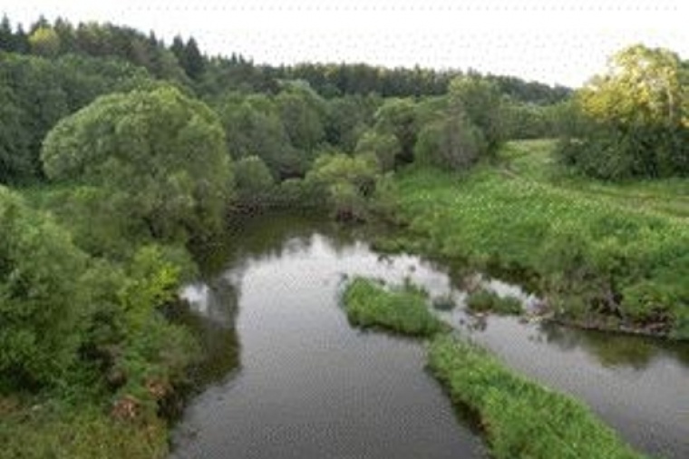 Река шара. Капустино Малоярославецкий район. Капустино Калужская область.