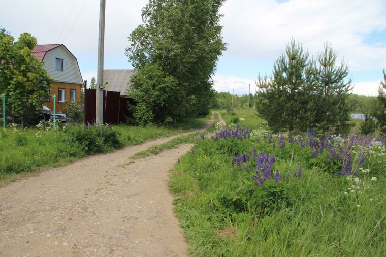 Село в александровском районе. Александровский район деревня Сусловка. Деревня Антонка Владимирская область. Деревня Антонка Александровский район.