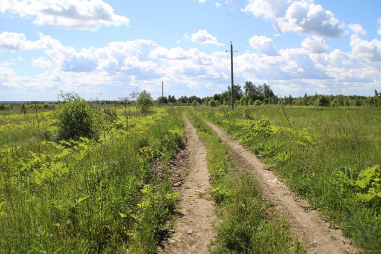 Александровский район фото