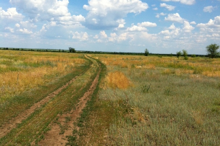 Степной саратовской