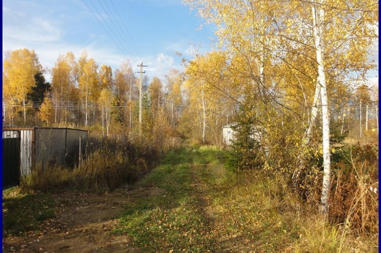 Под кронами деревня платунино