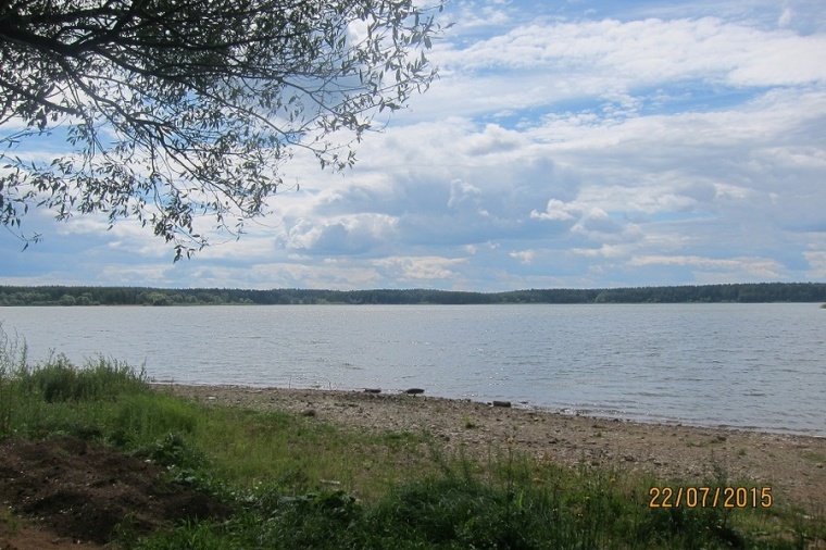 Д берег. Озернинское водохранилище деревня Волково. Нововолково Рузское водохранилище. Руза деревня Волково водохранилище. Деревня Нововолково Руза.