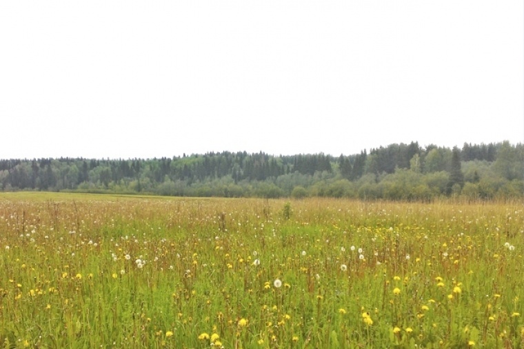 Купить Участок Клинский Р