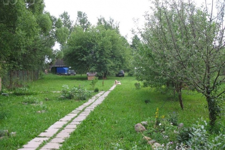 Чапаевка одинцовский. Деревня Чапаевка. Чапаевка Одинцовский район. Чапаевка Кубинка. СНТ Чапаевка.