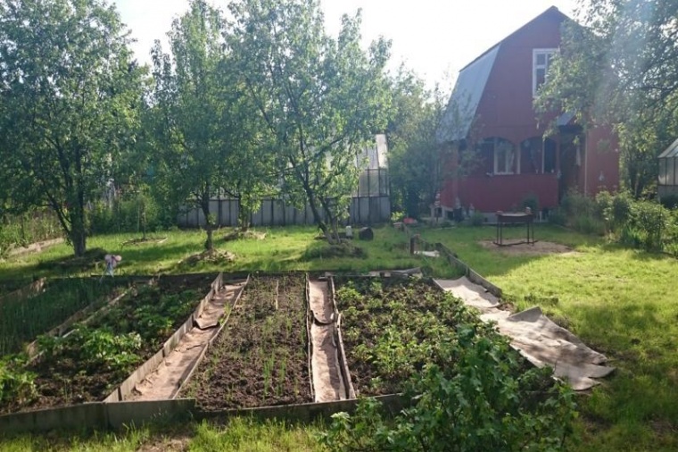 Пешково Чеховский Район Купить Дачу