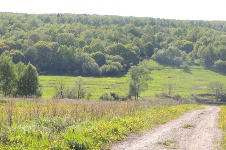 Ланьшино серпуховский район фото