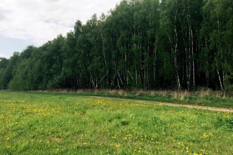 Першино Раменский Район Купить Участок