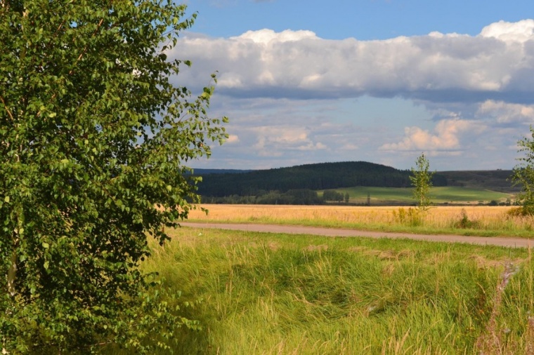 Кстовская деревня. Подлесово Кстовский район. Подлесово Кстовского района Нижегородской области. Природа Кстовского района Нижегородской. Слободское Кстовский район.