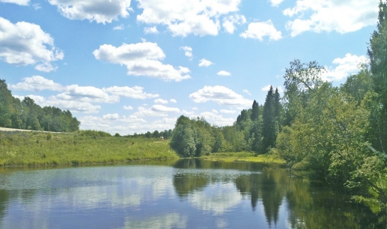 Клин округ. Клинский район. Мос.обл.,Клинский район, д.Поджигородово. Районы Клина. Речка Мозовка Клинский район.